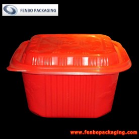 4500ml disposable plastic containers,disposable plastic food packaging-FBSLSPRQA011