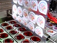 Lidding machine process Lidding machine process