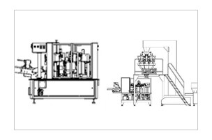 Premade pouch filling and sealing machine