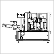 rotary style pouch filling packing machine