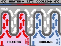 Understanding Pasteurization in China  Understanding Pasteurization in China