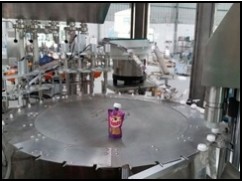 What difference between full automatic and semi automatic spout pouch filling machine? What difference between full automatic and semi automatic spout pouch filling machine?