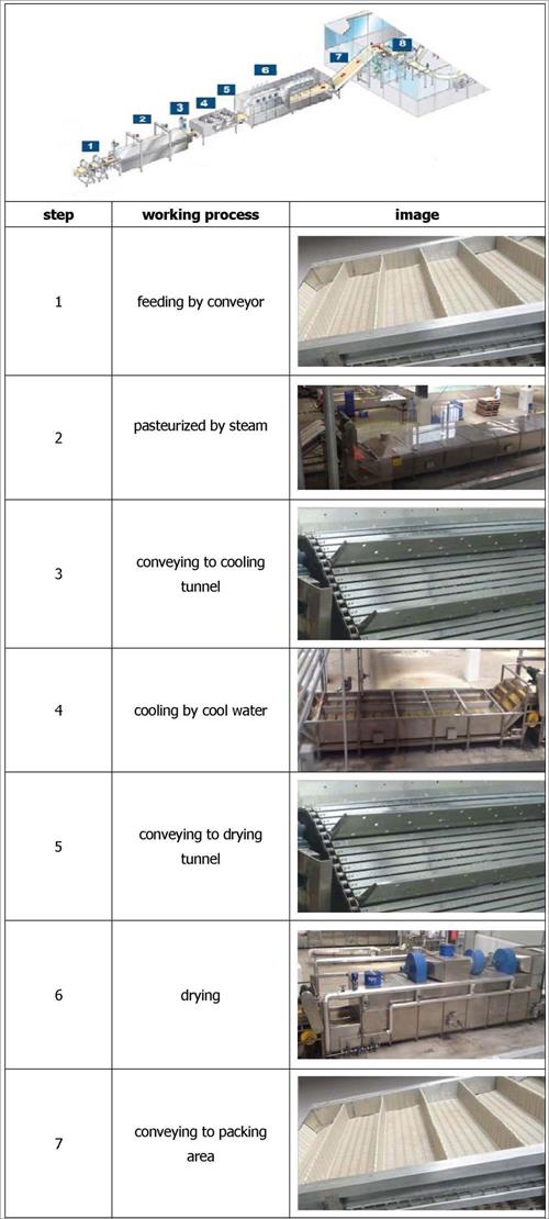 tunnel pasteurization process tunnel pasteurization process