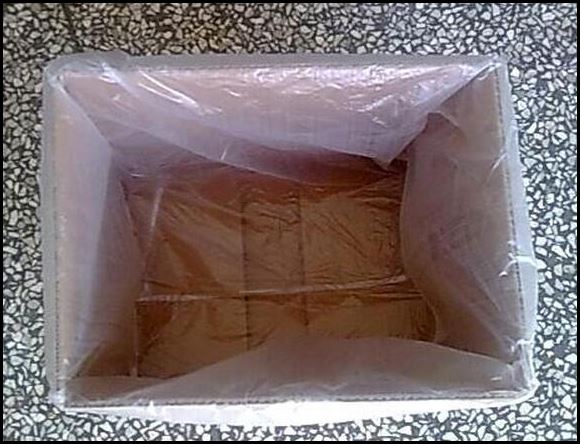 polybag